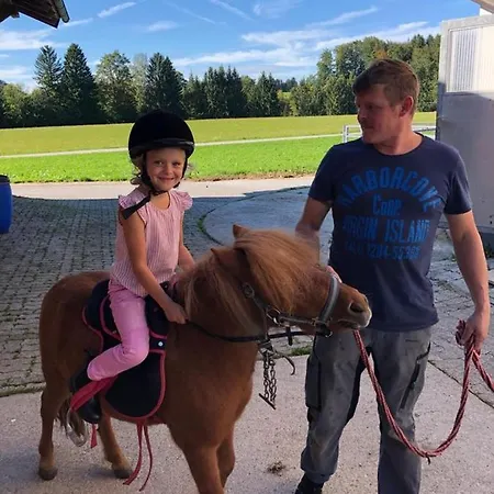 Διαμέρισμα Biohof Untergrabenbauer Lidaun