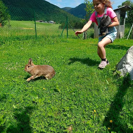 Biohof Untergrabenbauer Lidaun