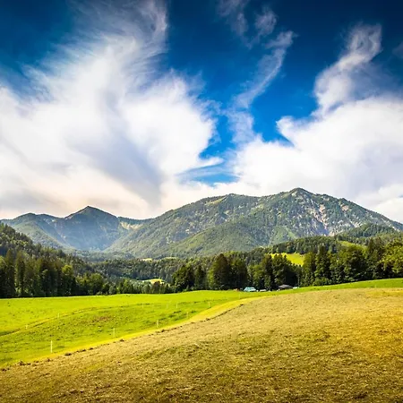 Biohof Untergrabenbauer