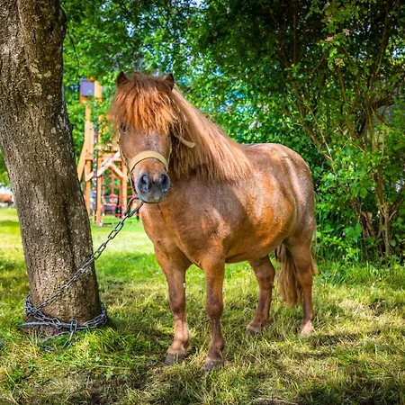 Biohof Untergrabenbauer *