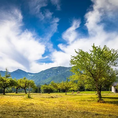 Biohof Untergrabenbauer Apartmán