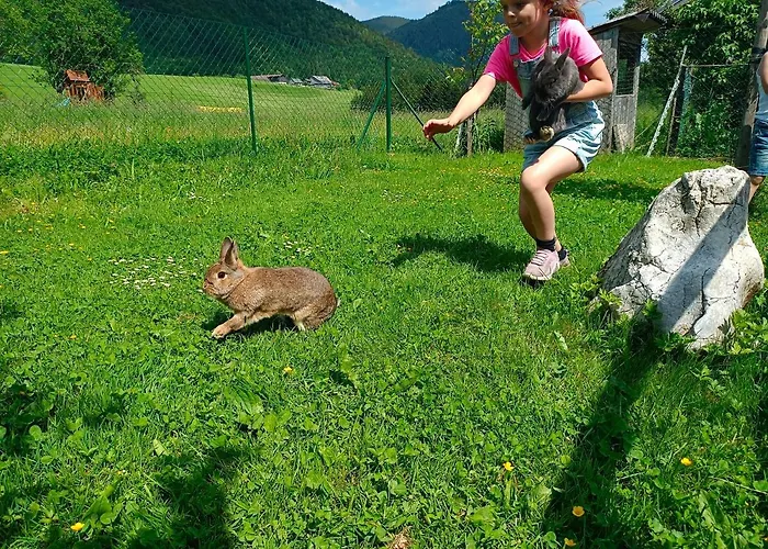Biohof Untergrabenbauer Lidaun